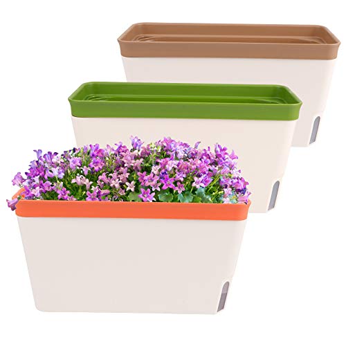 Colorful Planters to Grow Vegetables & Herbs in the Garage