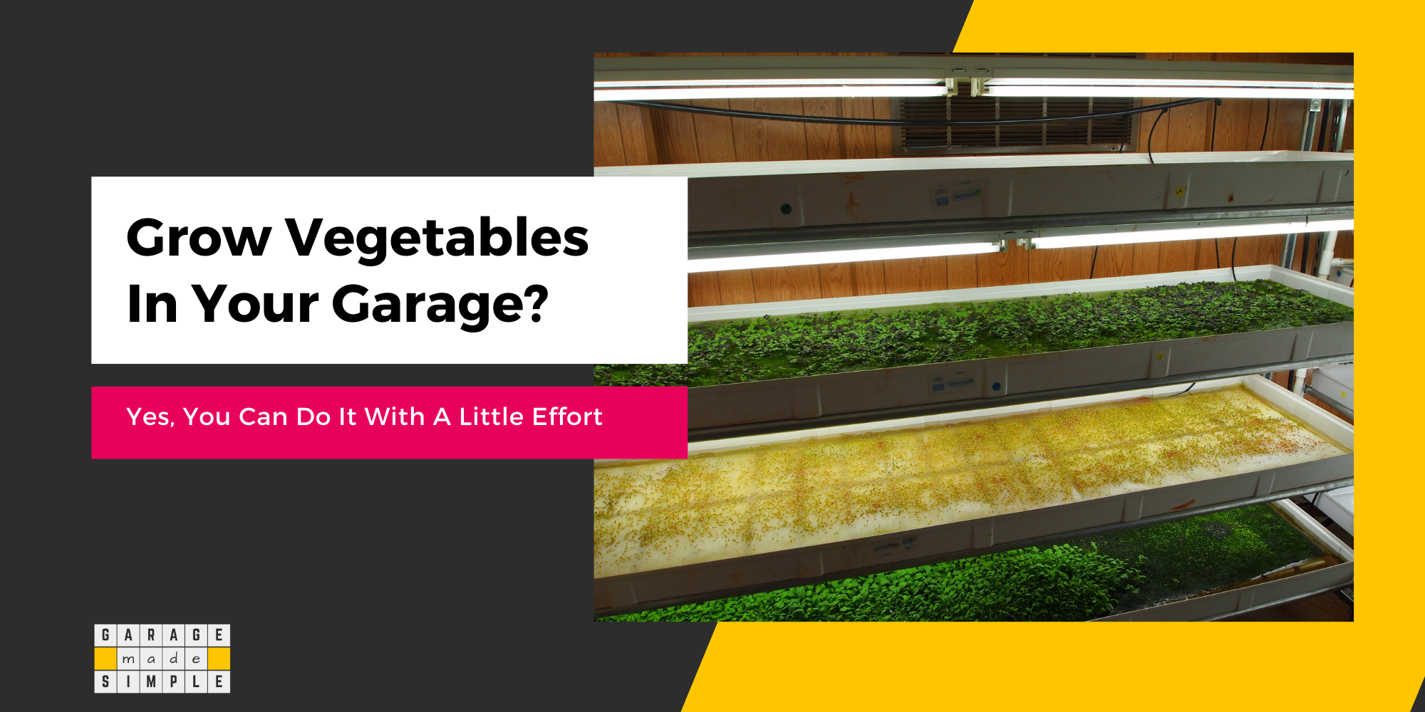 How To Grow Vegetables In Your Garage? (Helpful Things To Know!)