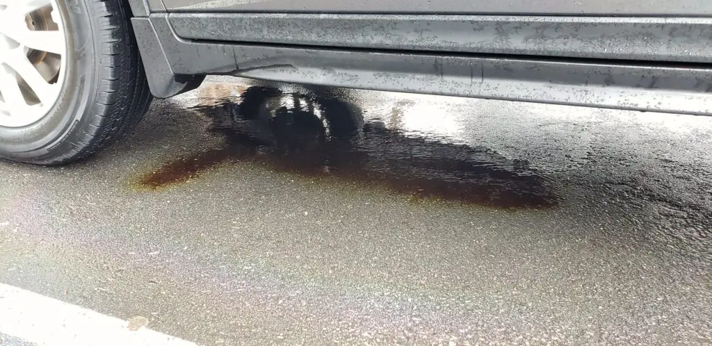 Oil Leak under the Car