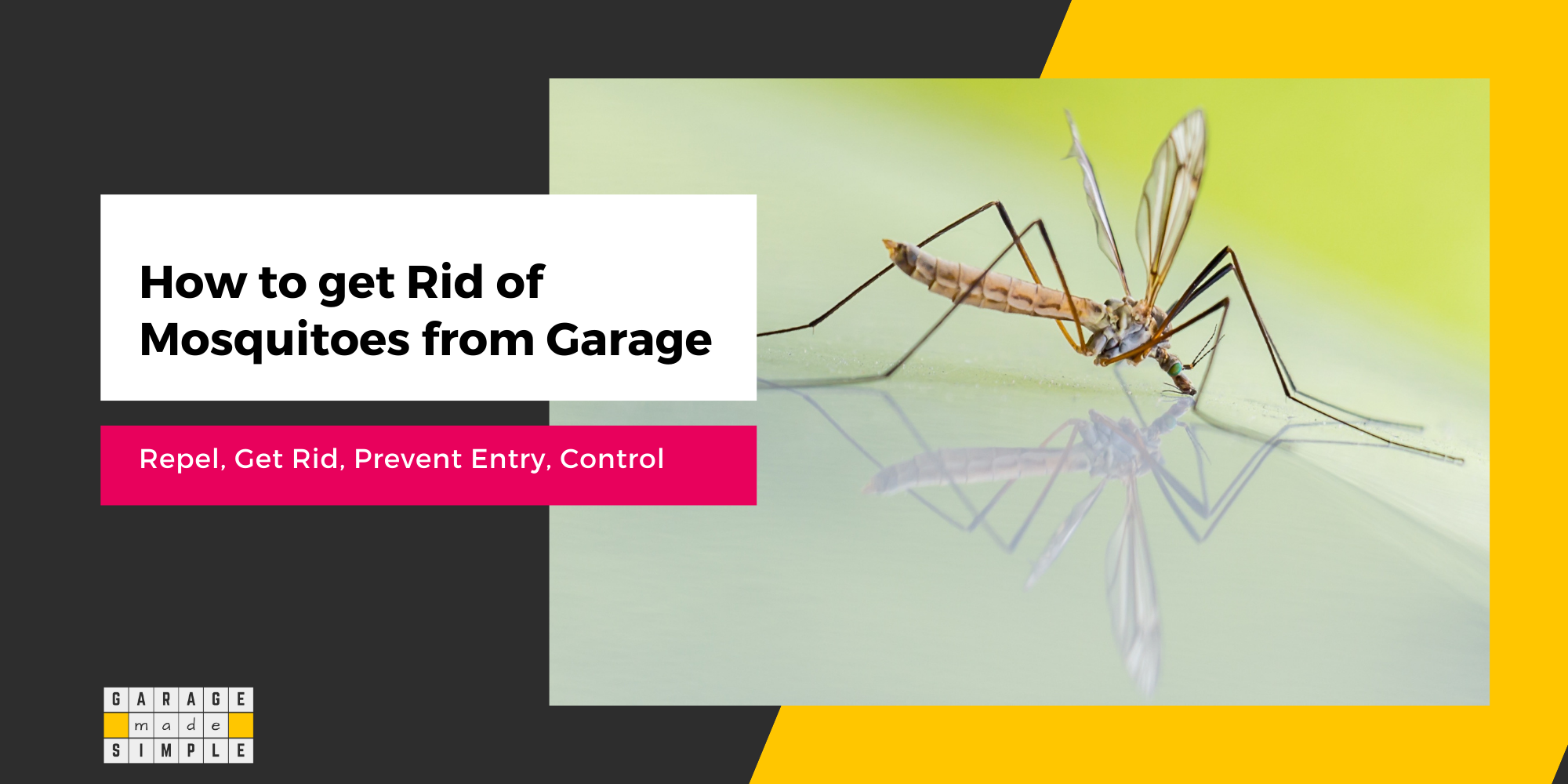 How To Get Rid of Mosquitoes From Your Garage? (What You Need To Know!)