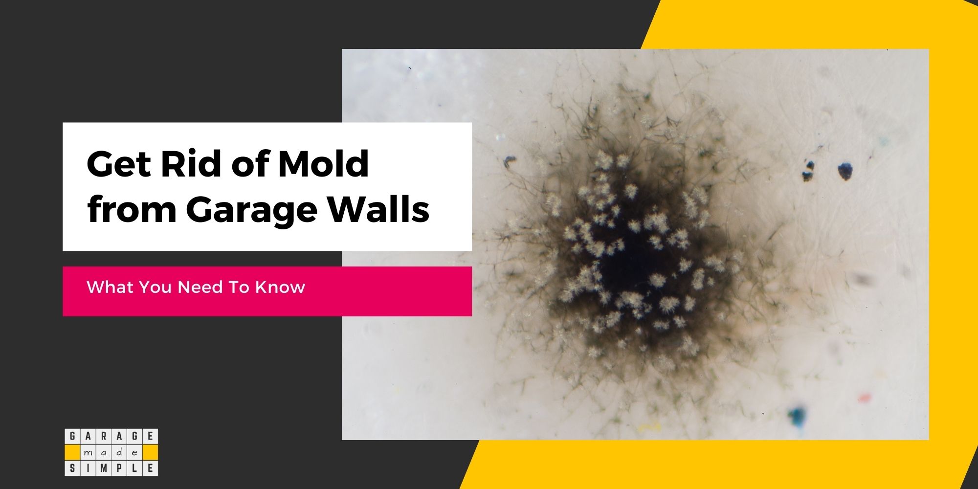 How To Get Rid Of Mold From Garage Walls? (What You Need To Know!)
