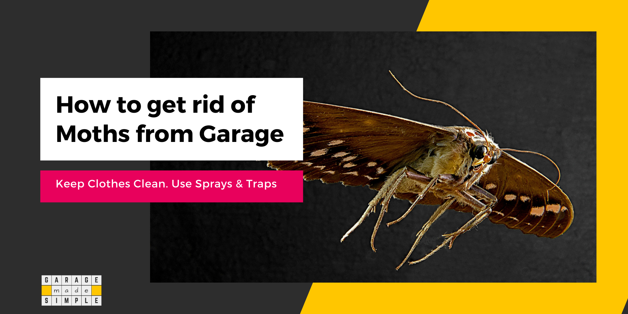 How To Get Rid of Moths From Your Garage? (5 Effective Ways!)