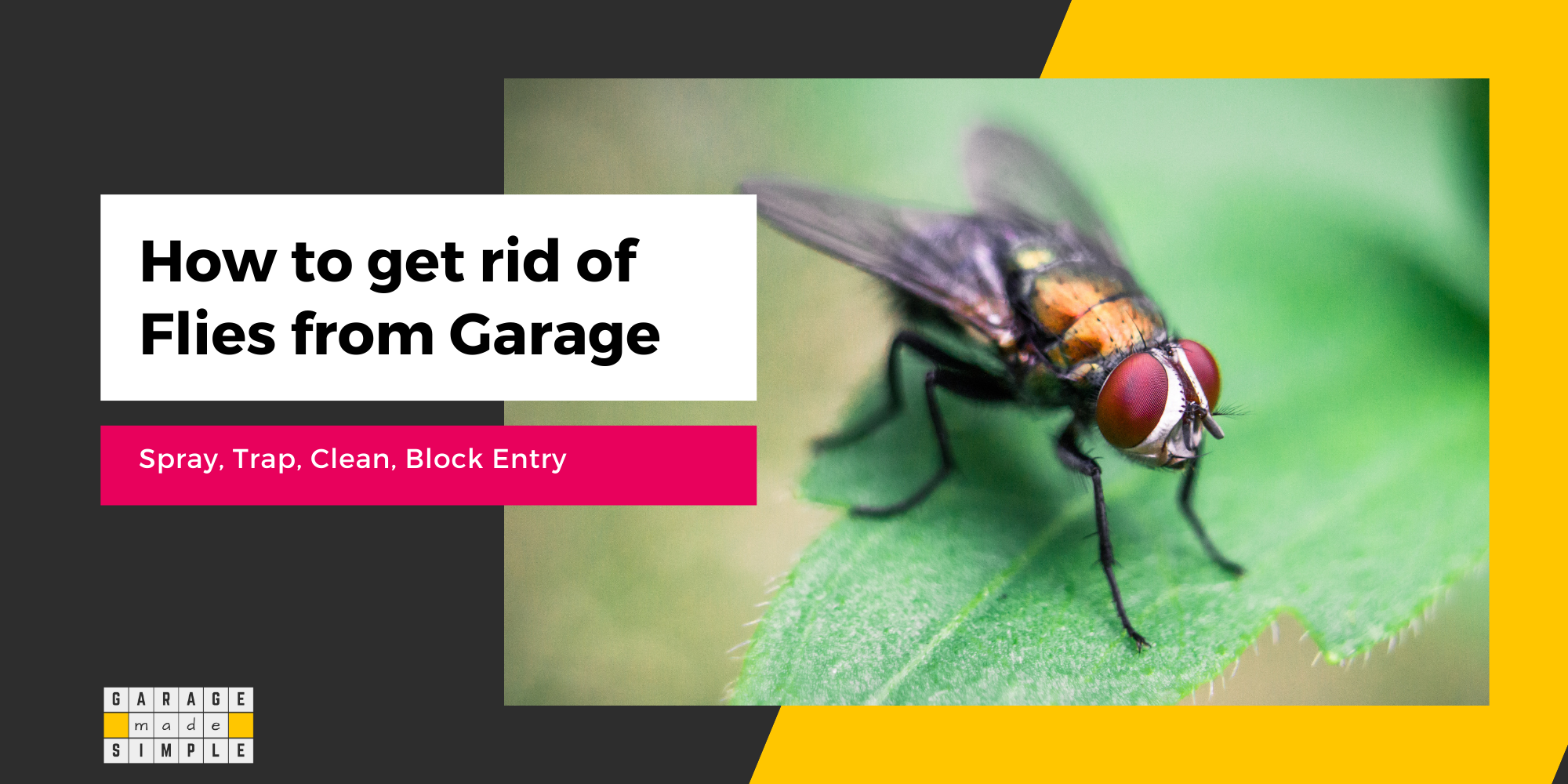 How To Get Rid of Flies From Your Garage? (What You Need To Know!)