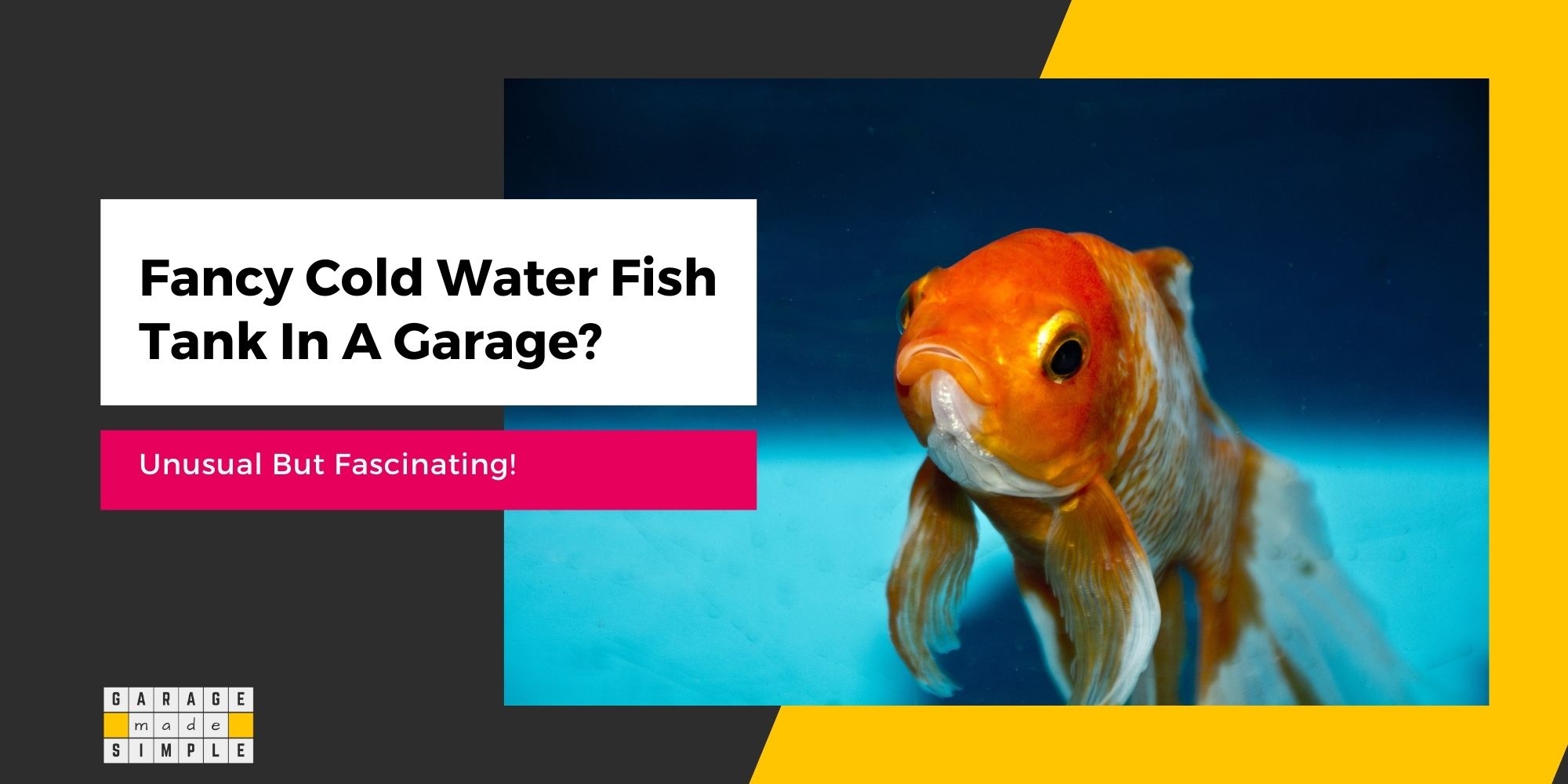 Fancy Cold Water Fish Tank In A Garage? (Unusual But Fascinating!)