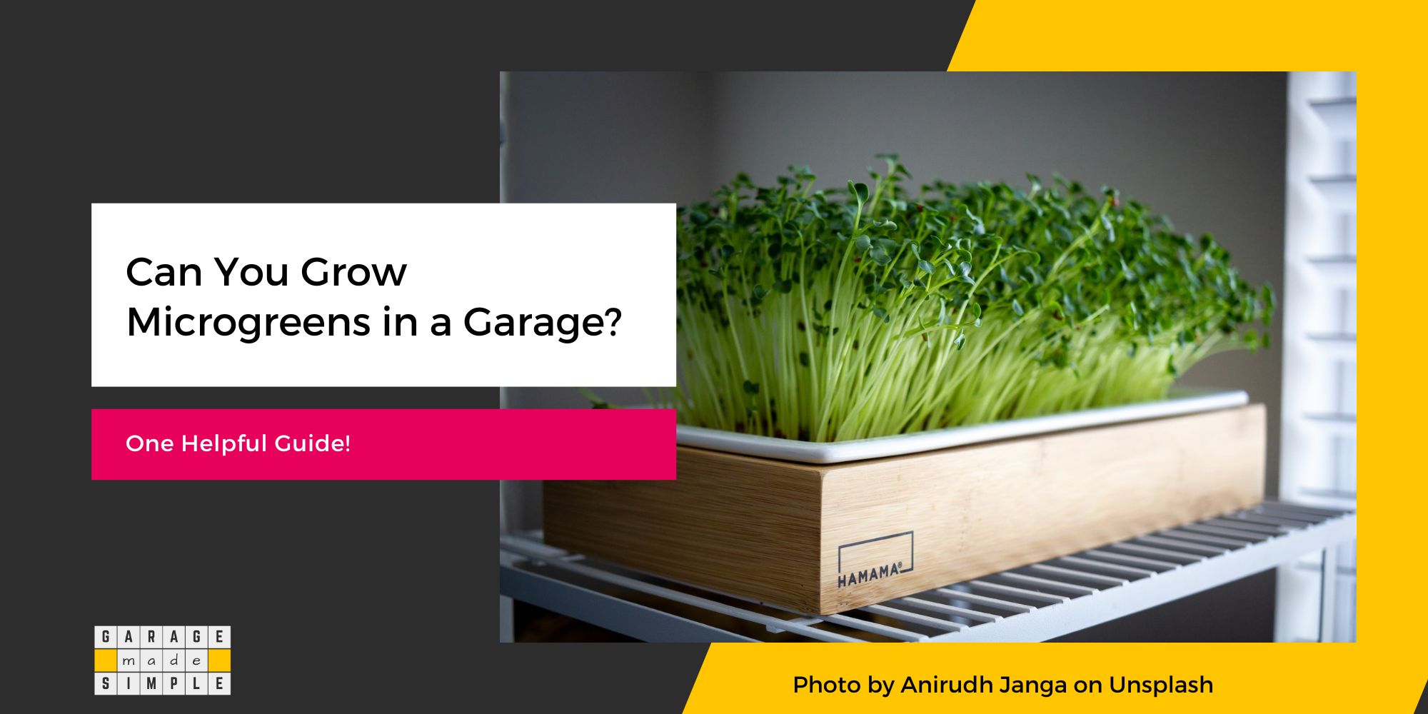Can You Grow Microgreens in a Garage? (One Helpful Guide!)