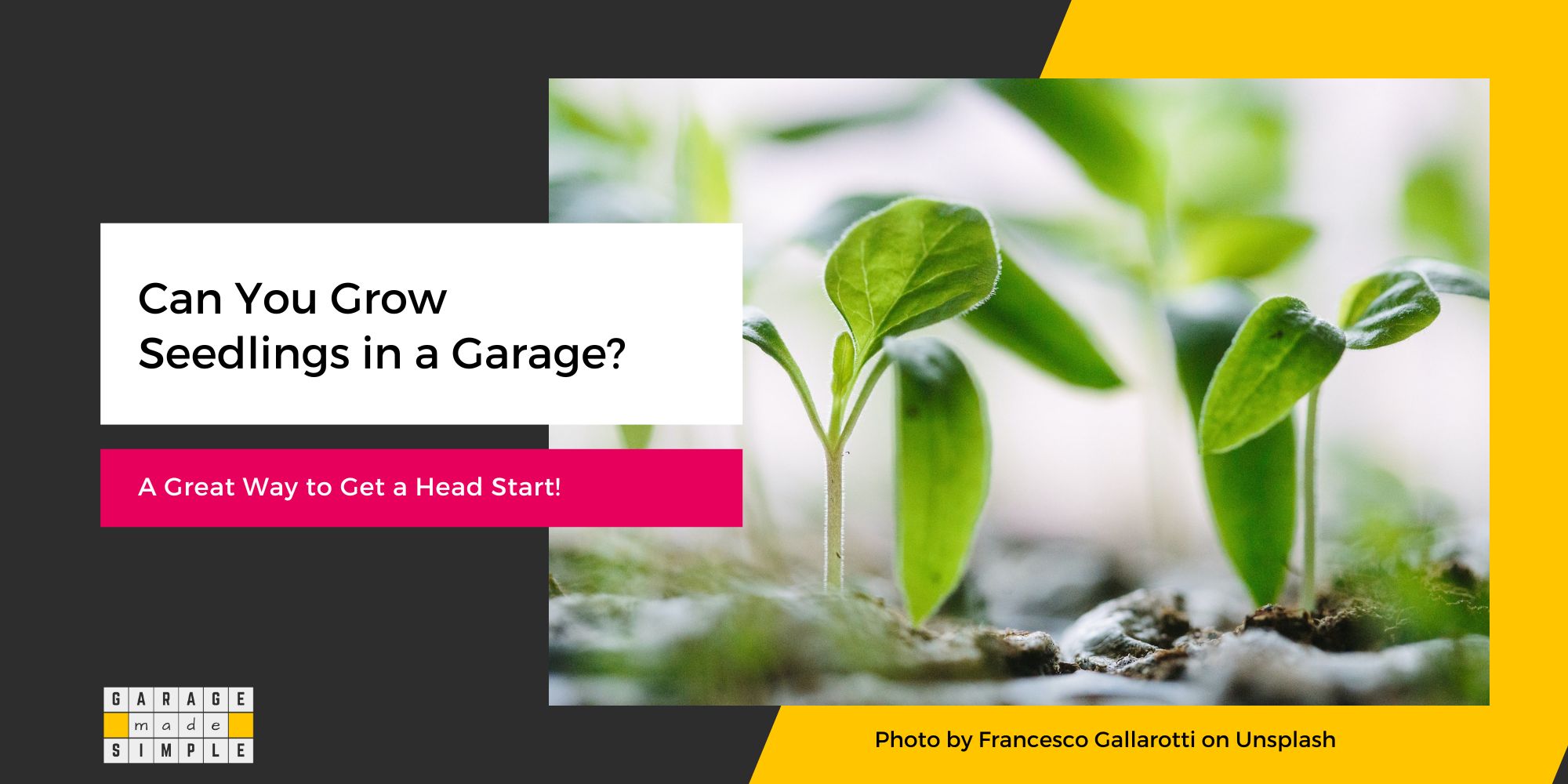 Grow Seedlings in a Garage? (Great Way To Get A Head Start!)
