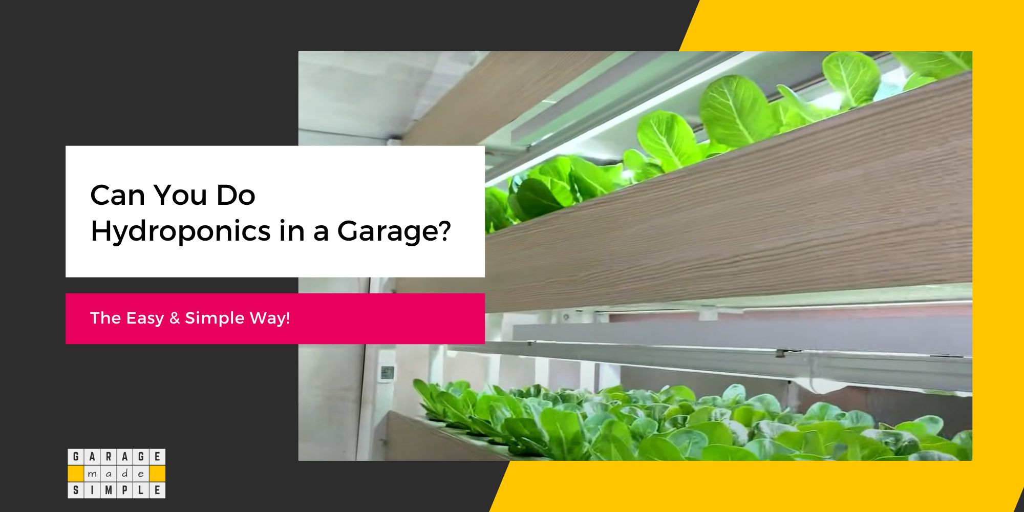 Can You Do Hydroponics in a Garage?