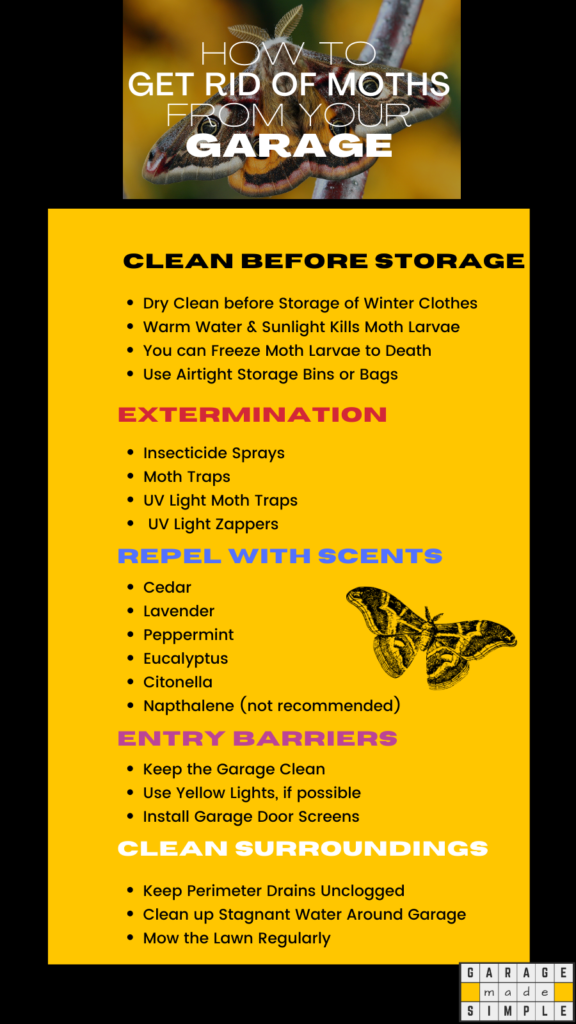 Infographic on How To Get Rid Of Moths From Your Garage